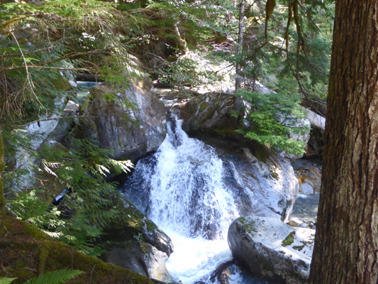 Ladder Creek Newhalem