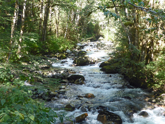 North Fork Cascade River