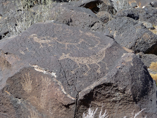 petroglyphs Piedras Marcasas Trail