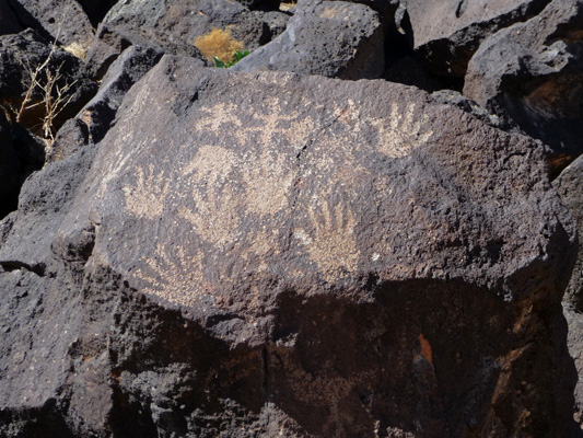 petroglyphs Piedras Marcasas Trail