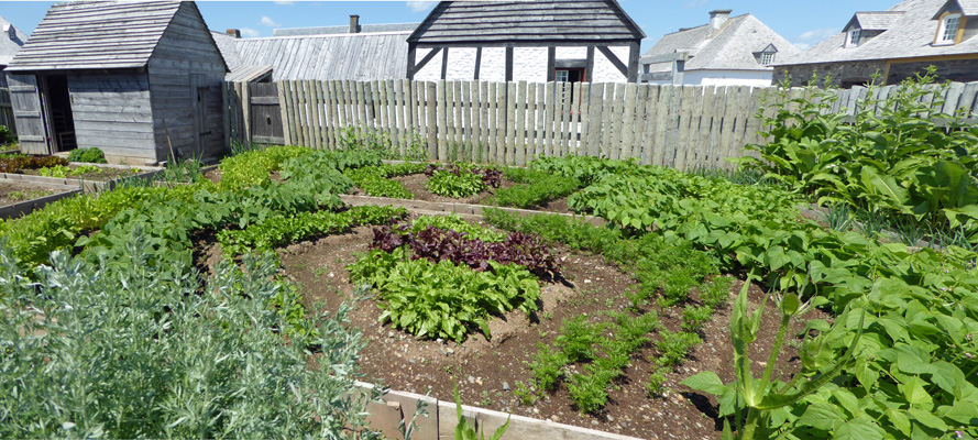 Vegetable garden Fortress of Louisbourg