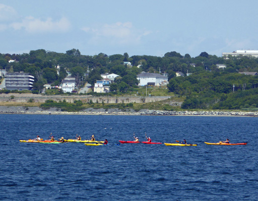 Kayaks Halifax Harbor