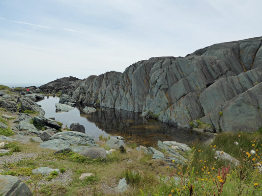 Cape Forchu tidepool