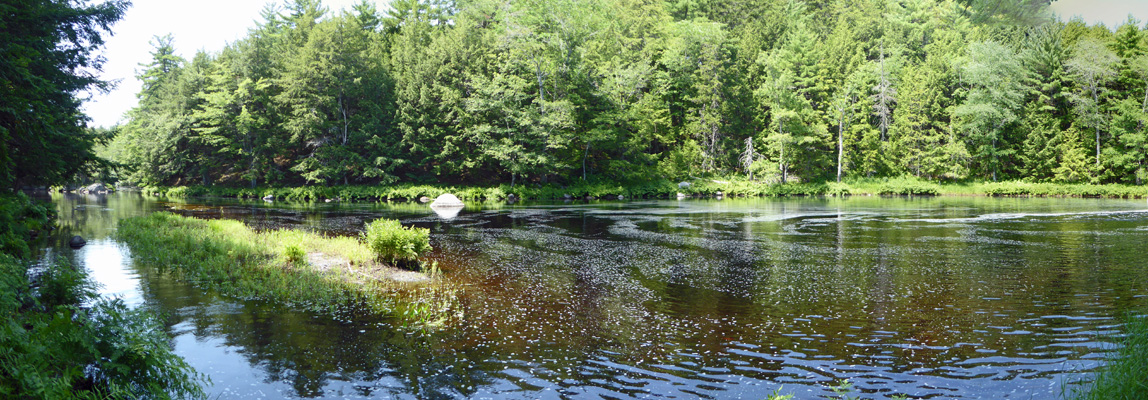 Mersey River Kejimkujik NP