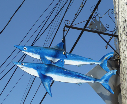 Blue and white fish on lamppost
