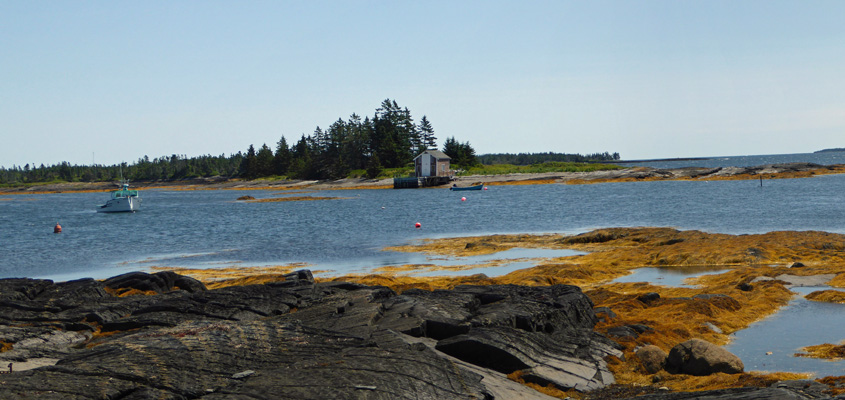 Blue Rocks NS