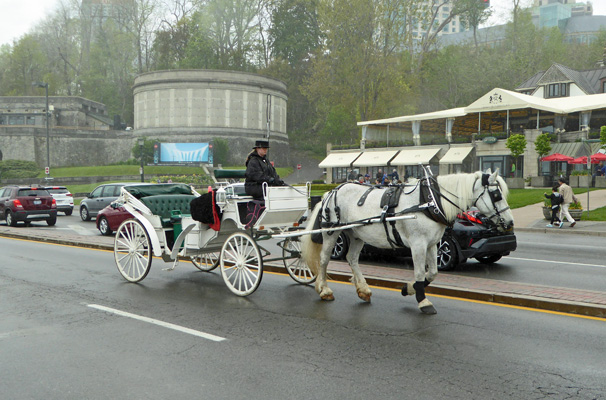 White Horse and carriage