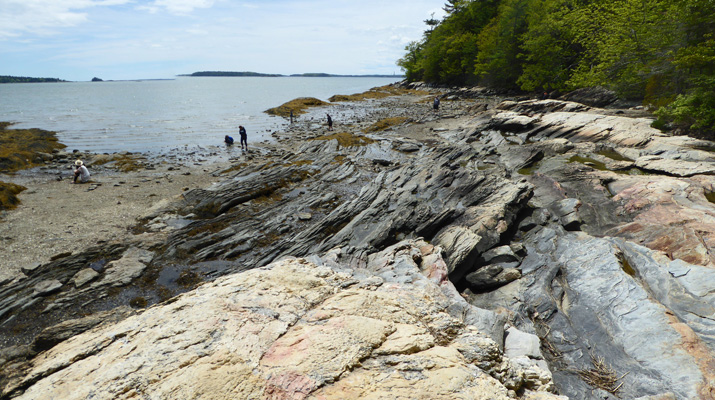 Rocky beach Wolfe's Neck Woods State Park ME