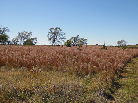 Grassland Foss State Park