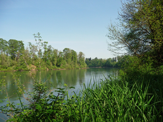 Willamette River Champoeg SP