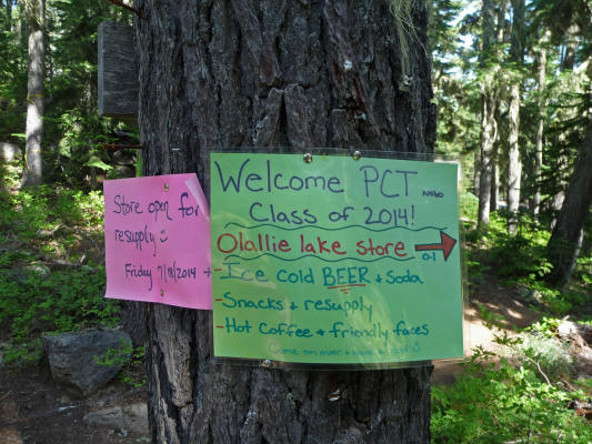PCT signs at Olallie Lake OR