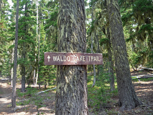 Waldo Lake Trail sign