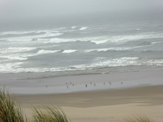 South Jetty Beach Florence OR