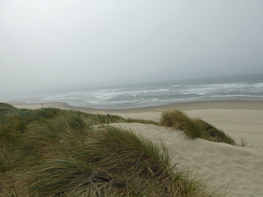 South Jetty beach Florence OR