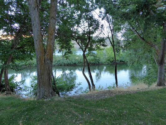 Campsite view Peach Beach RV WA