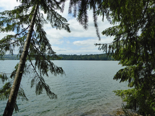 Mayfield Lake