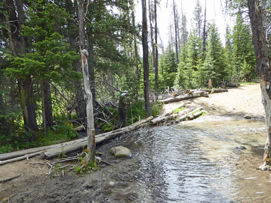 Creek crossing Conrad meadows