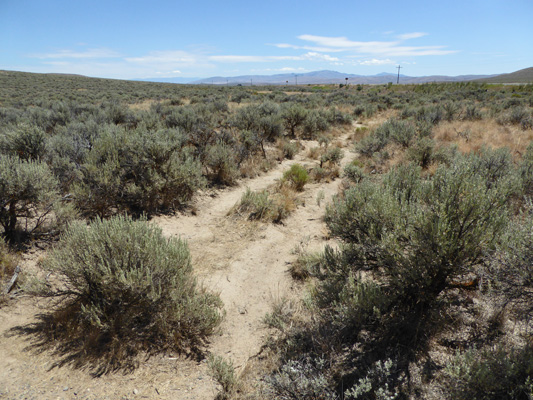 Oregon Trail ruts Baker City OR