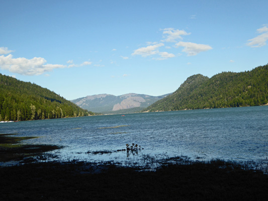 Rimrock Lake from Indian Creek Campground