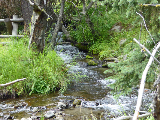 Stream crossing Conrad Meadows