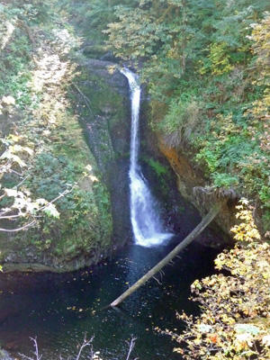 Butte Creek Falls OR