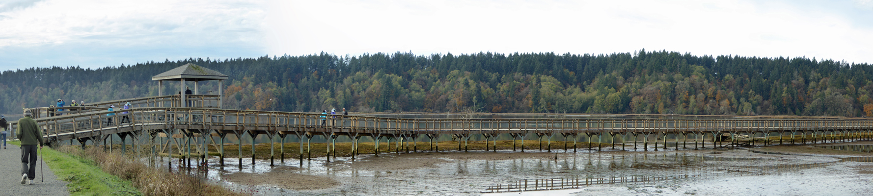 Observation tower boardwalk Nisqually