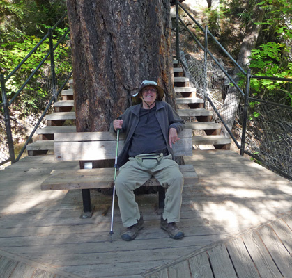 Walter Cooke at viewpoint of Toketee Falls OR
