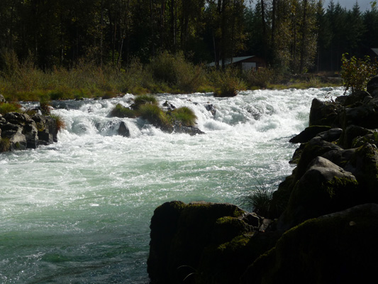 Falls on South Santiam River at Waterloo Park OR