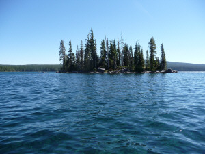 Islet in Waldo Lake