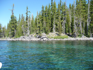 Clear water at Waldo Lake