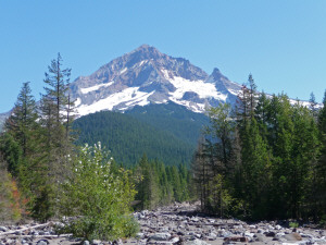 Mt. Hood from trail near Sandy River