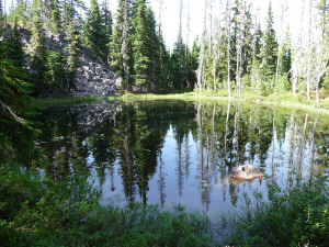 Little lake along the trail