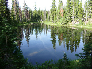 Little lake along the trail