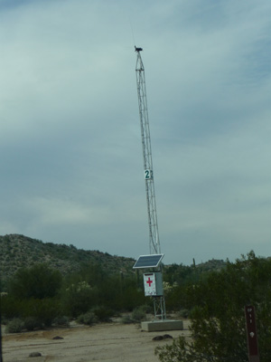 Emergency light 2 Organ Pipe NM