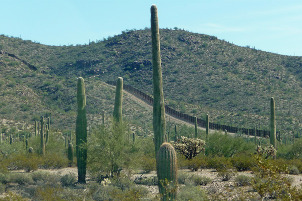 Pedistrian fence US Mexico border Organ Pipe NM