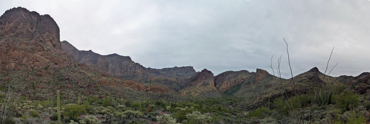 Estes Canyon Organ Pipe Nat'l Mon.