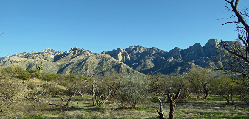 Campsite view Catalina State Park