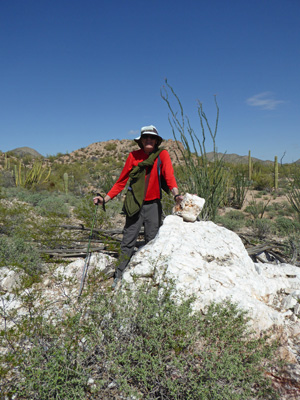 Walter Cooke quartz outcropping