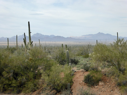 View from Red Hills Visitor Center