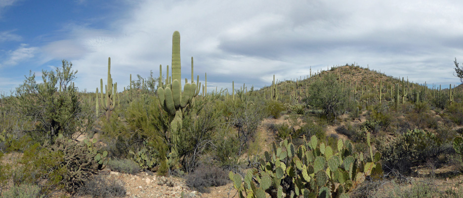 Valley View Trail 