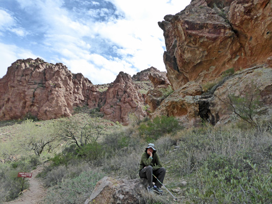 Walter Cooke Arch Canyon