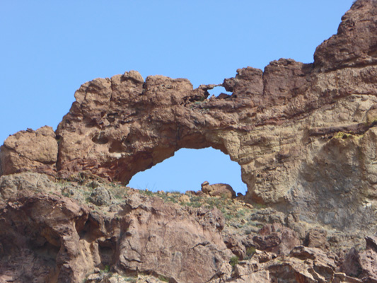 Arch Organ Pipe Cactus NM