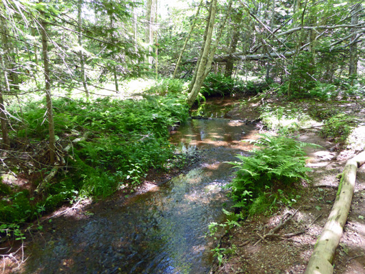 Balsam Hollow Green Gables