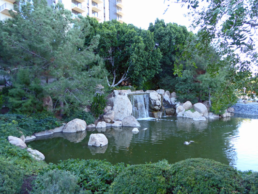 Waterfall Phoenix Japanese Garden