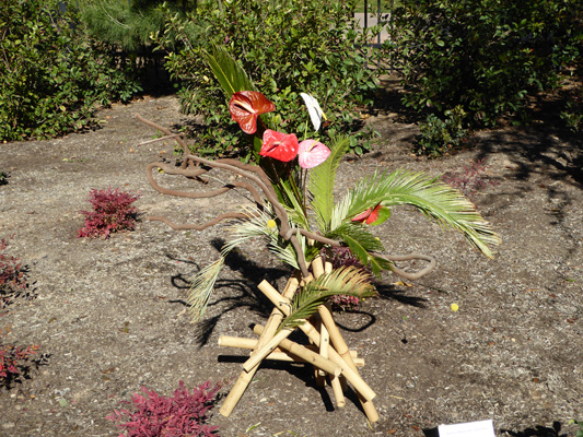 Ikebana Phoenix Japanese Garden