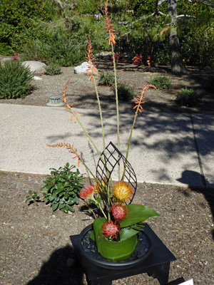 Ikebana Phoenix Japanese Garden