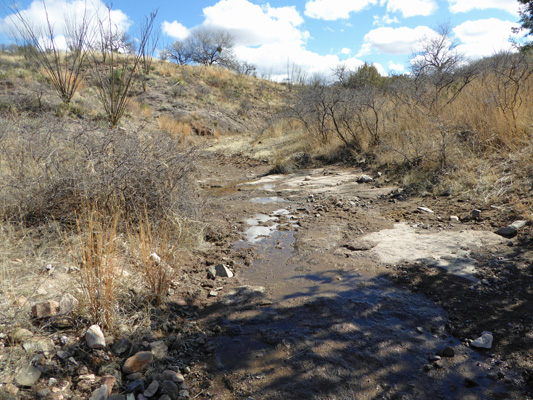 Wash along trail at Sonita Creek SNA