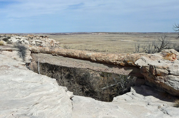 Agate Bridge Petrified Forest NP