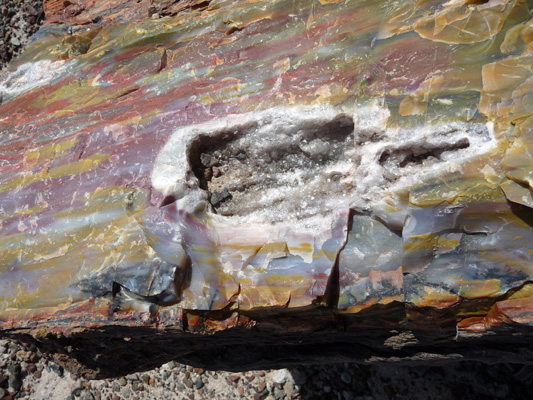 Quartz within petrified wood