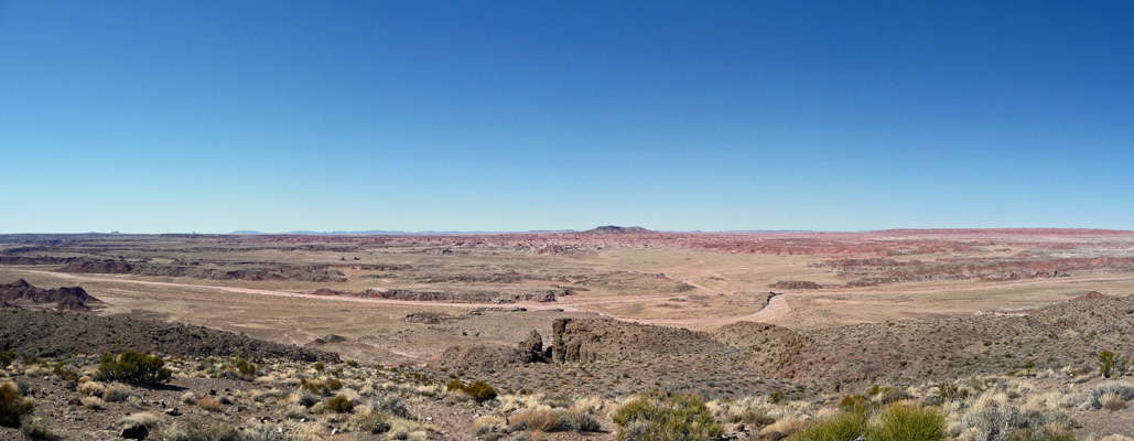 Pintado Point viewpoint Petrified Forest NP